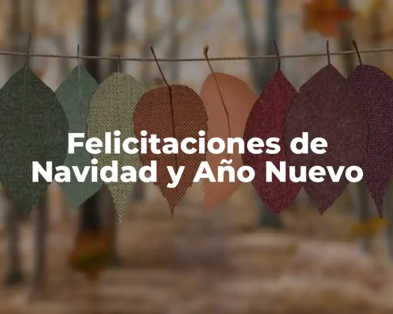 Felicitaciones de Navidad y Año Nuevo