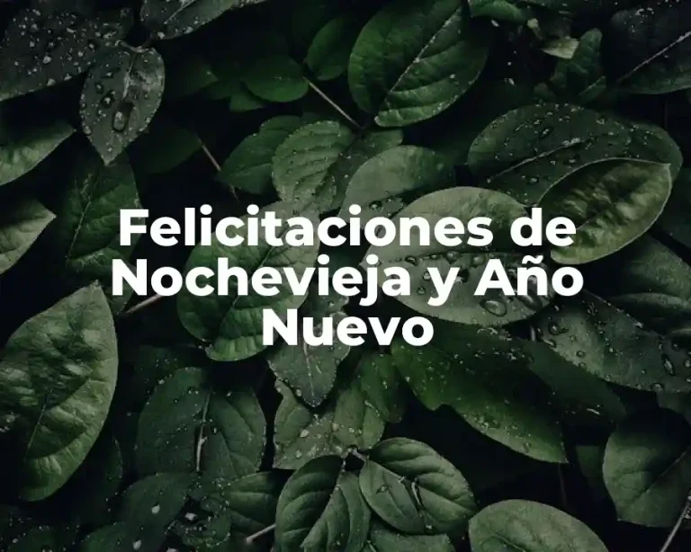 Felicitaciones de Nochevieja y Año Nuevo