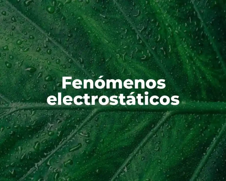 Fenómenos electrostáticos