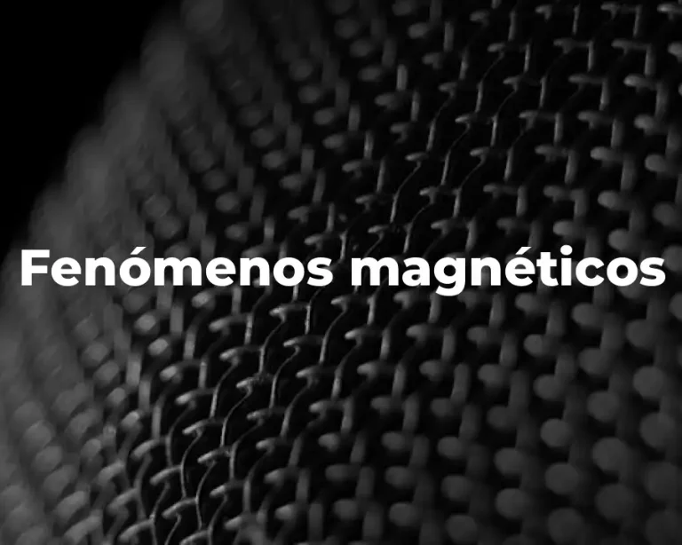 Fenómenos magnéticos