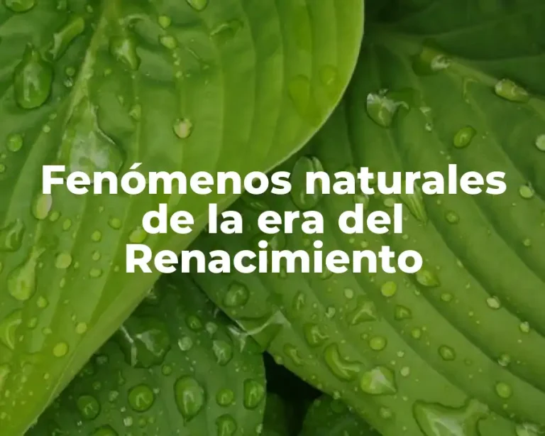 Fenómenos naturales de la era del Renacimiento