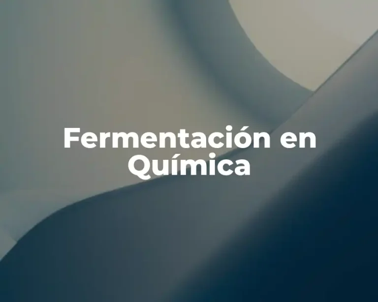 Fermentación en Química