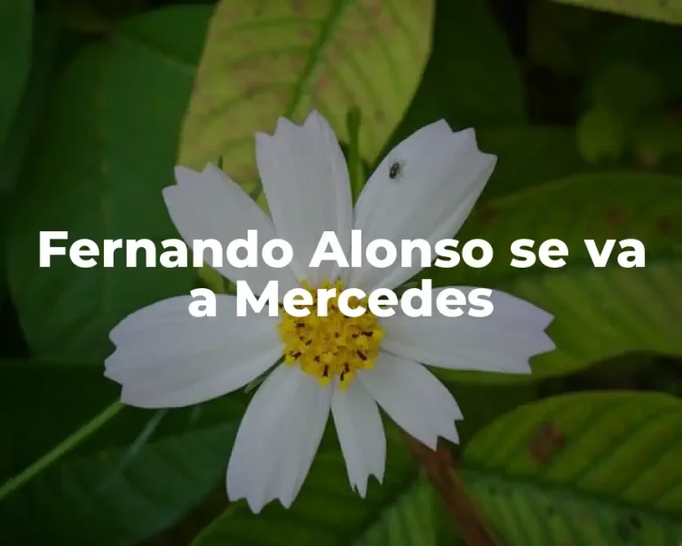 Fernando Alonso se va a Mercedes