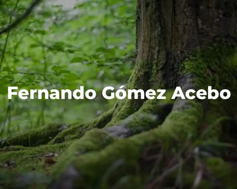 Fernando Gómez Acebo