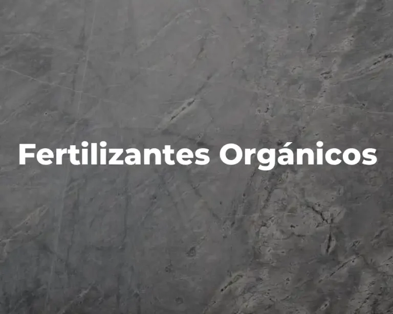 Fertilizantes Orgánicos