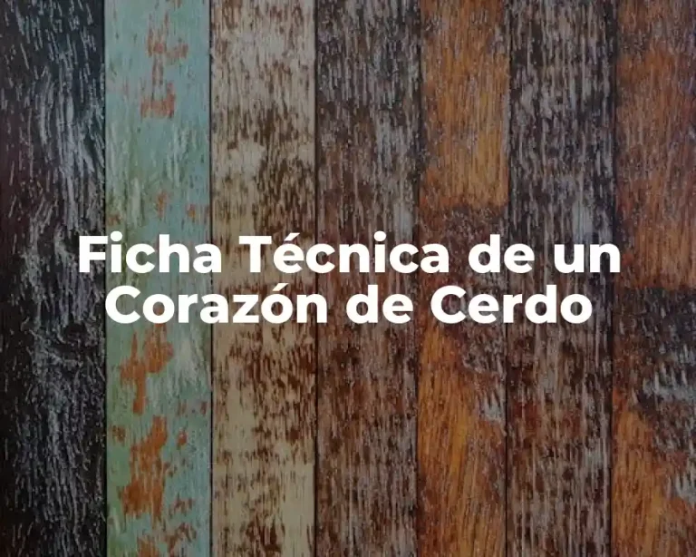 Ficha Técnica de un Corazón de Cerdo