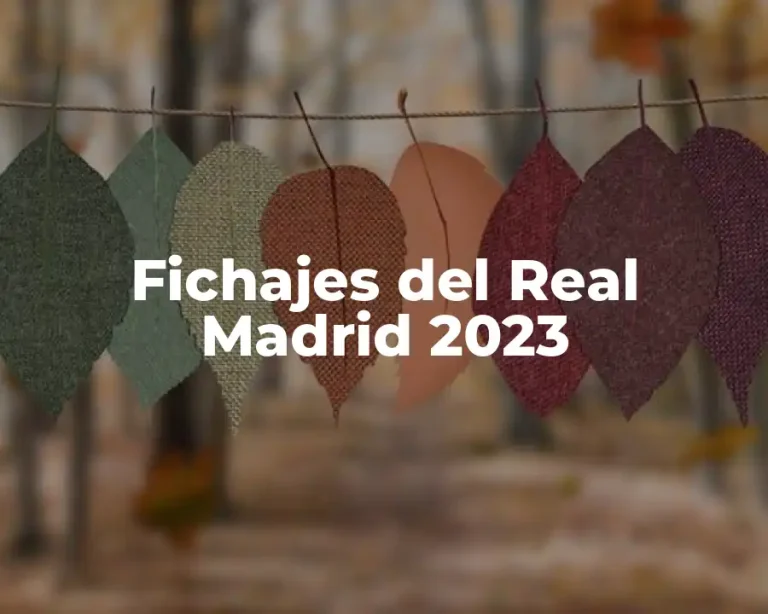 Fichajes del Real Madrid 2023