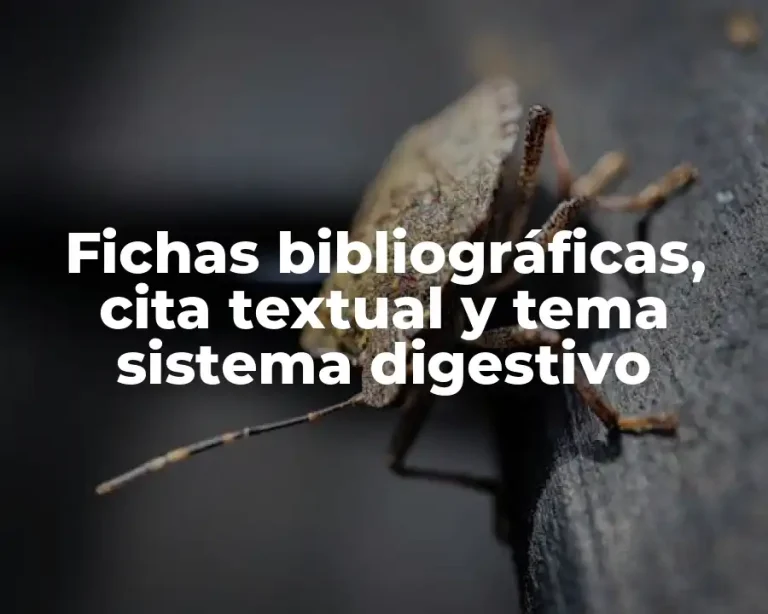 Fichas bibliográficas, cita textual y tema sistema digestivo