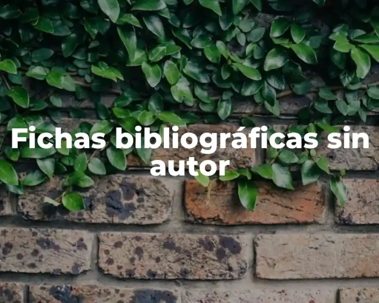 Fichas bibliográficas sin autor