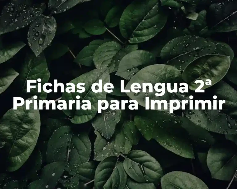 Fichas de Lengua 2ª Primaria para Imprimir