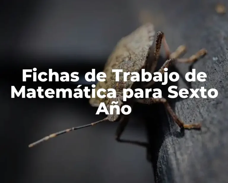 Fichas de Trabajo de Matemática para Sexto Año