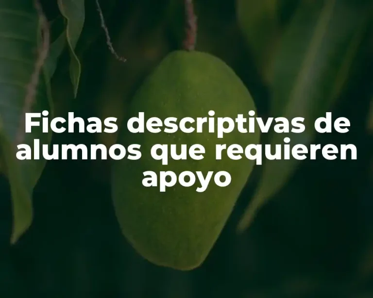 Fichas descriptivas de alumnos que requieren apoyo