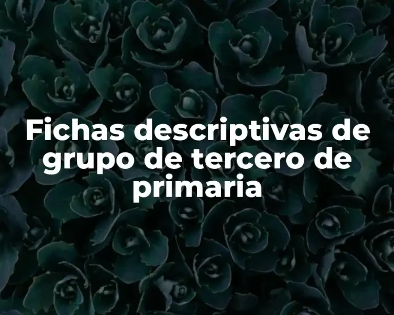 Fichas descriptivas de grupo de tercero de primaria