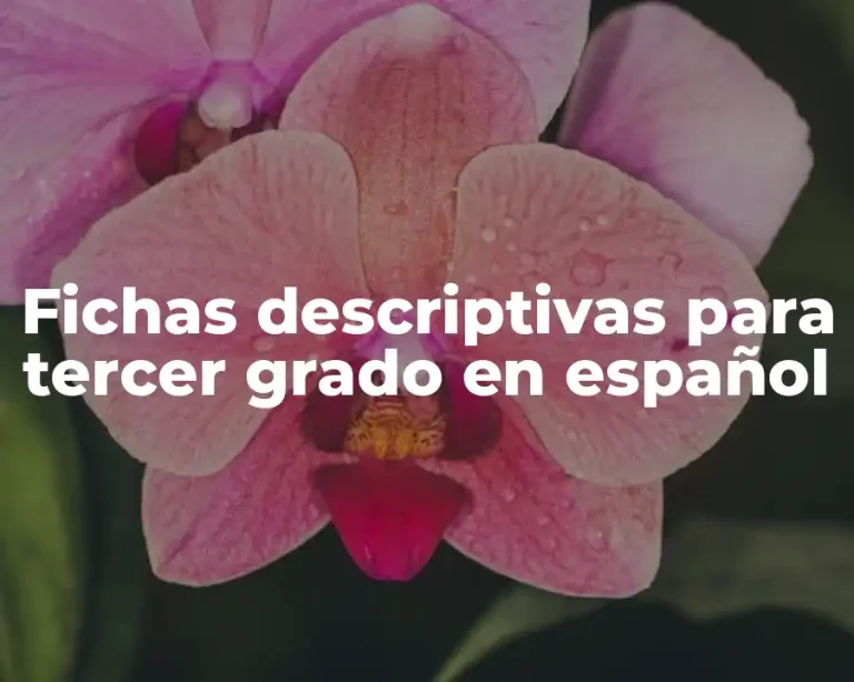 Fichas descriptivas para tercer grado en español
