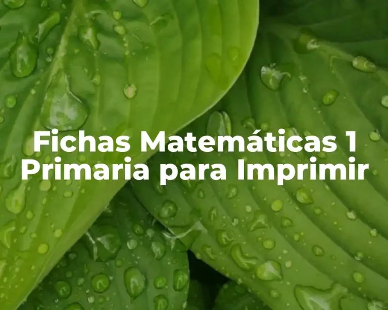 Fichas Matemáticas 1 Primaria para Imprimir