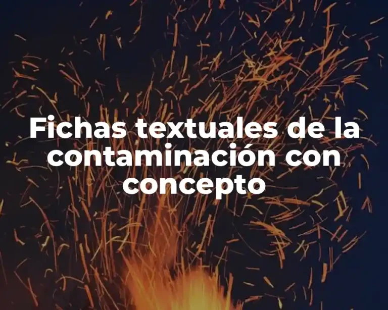 Fichas textuales de la contaminación con concepto