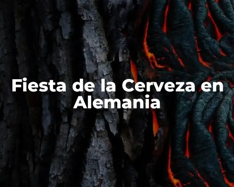 Fiesta de la Cerveza en Alemania