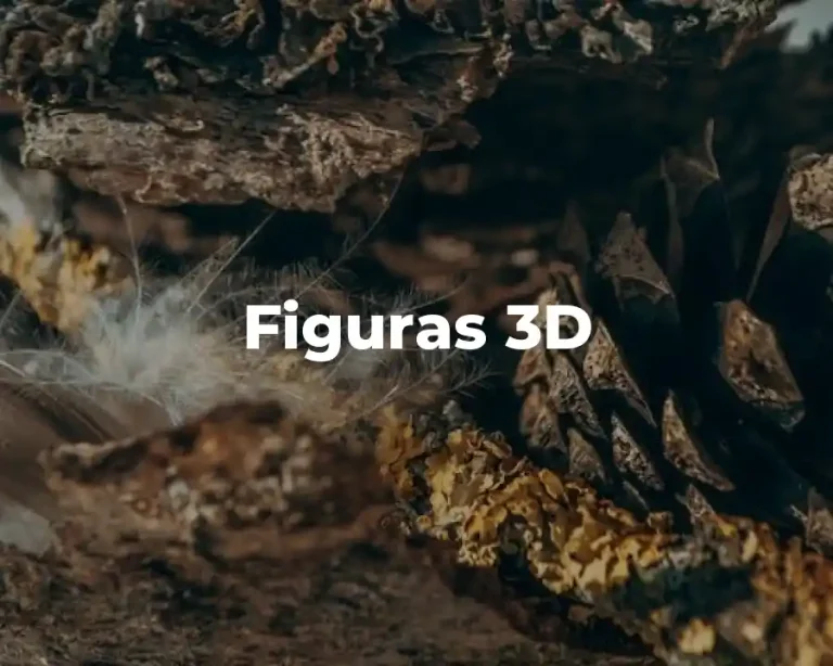 Figuras 3D