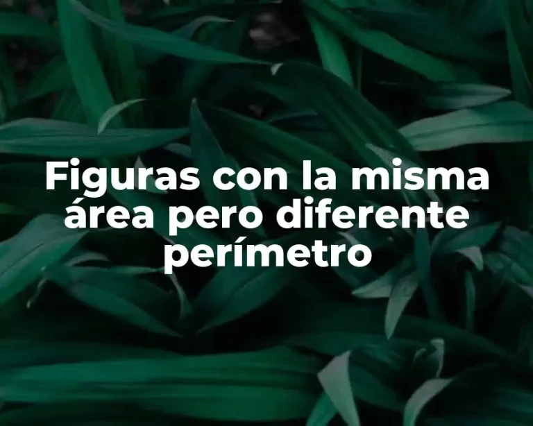 Figuras con la misma área pero diferente perímetro
