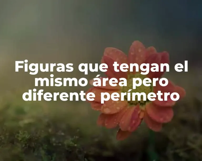 Figuras que tengan el mismo área pero diferente perímetro