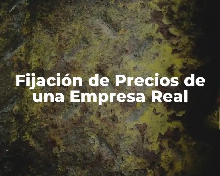 Fijación de Precios de una Empresa Real