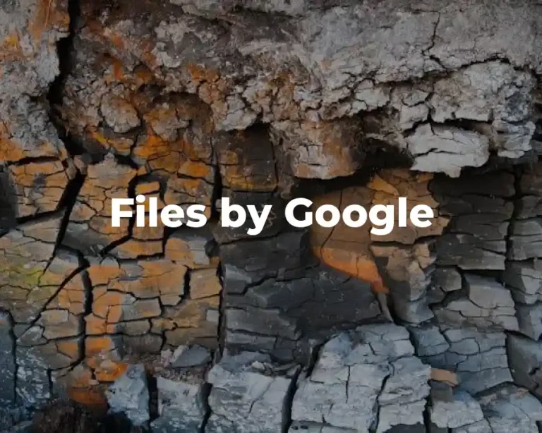 Files by Google
