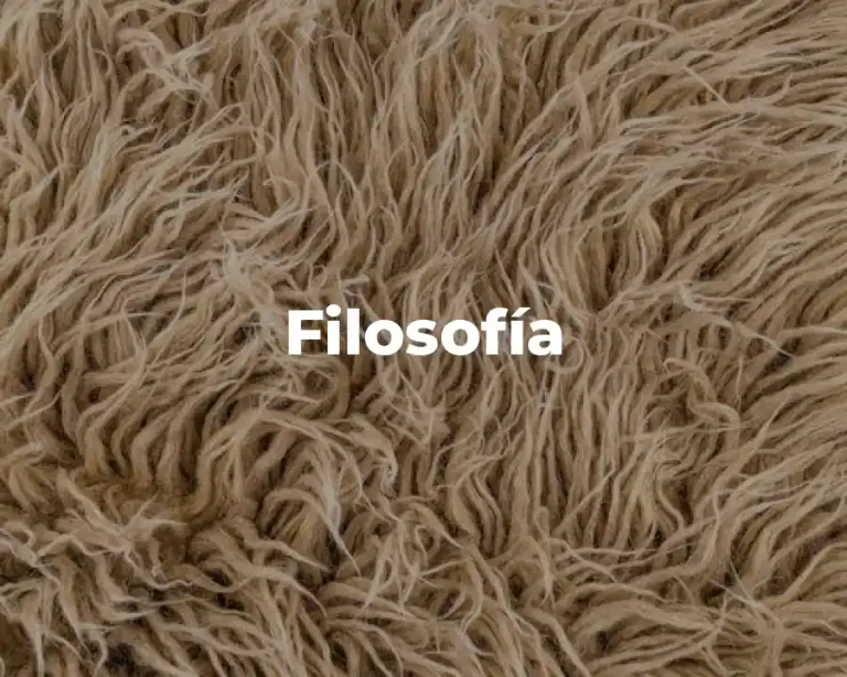 Filosofía