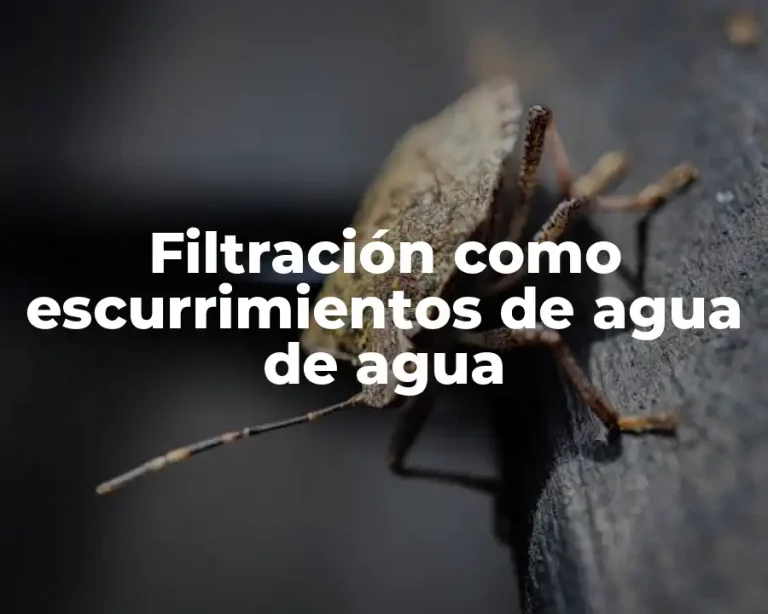 Filtración como escurrimientos de agua de agua