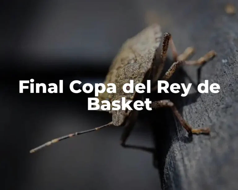 Final Copa del Rey de Basket