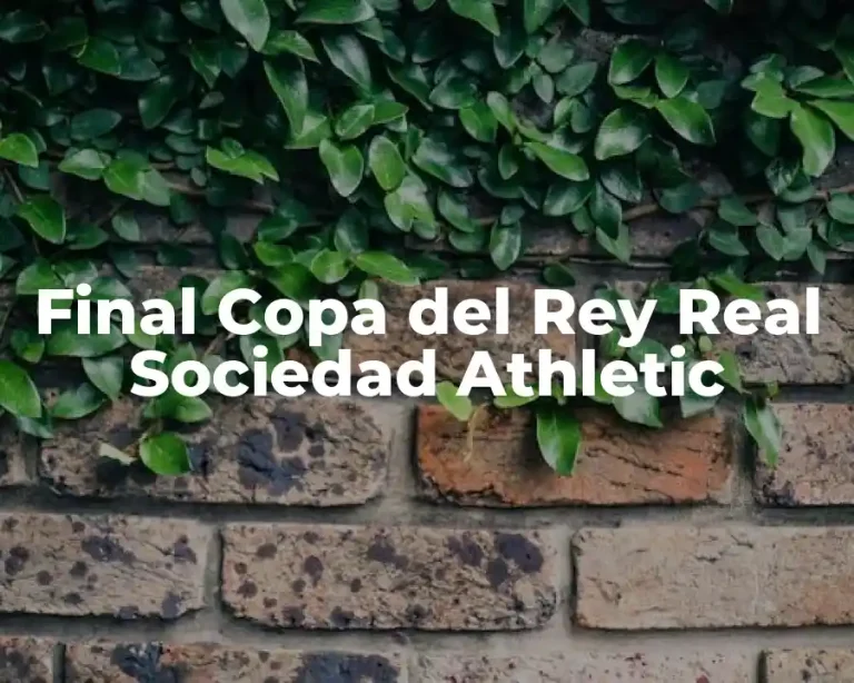 Final Copa del Rey Real Sociedad Athletic