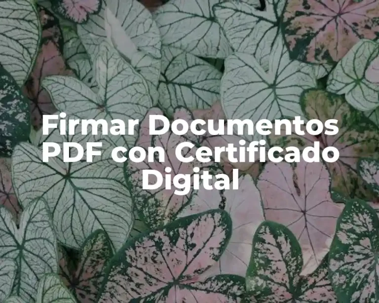 Firmar Documentos PDF con Certificado Digital