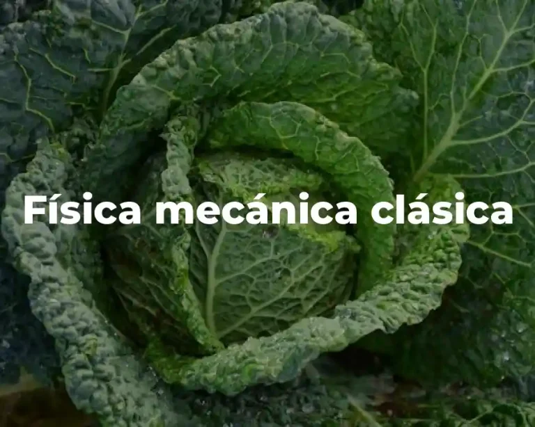 Física mecánica clásica