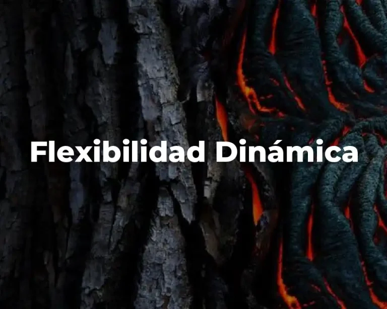 Flexibilidad Dinámica