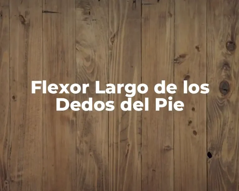 Flexor Largo de los Dedos del Pie