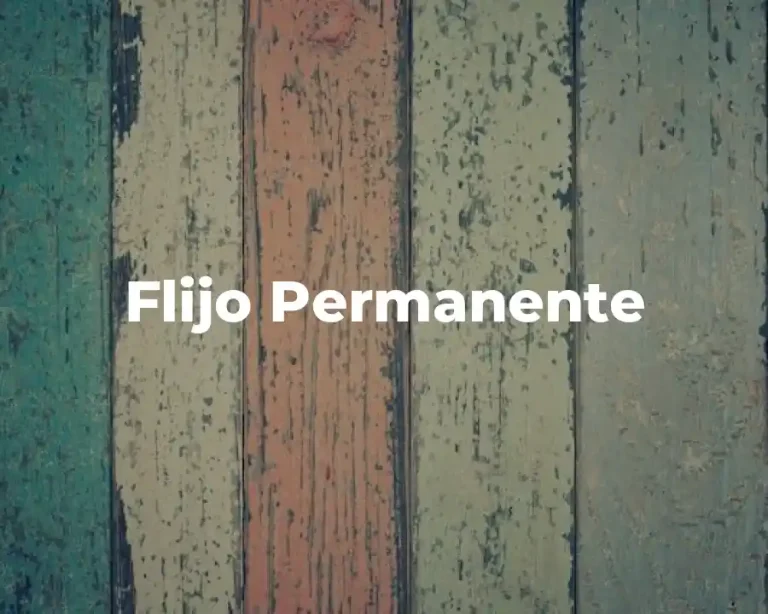 Flijo Permanente