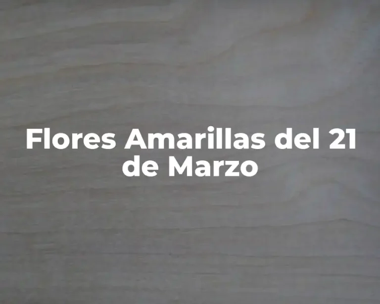Flores Amarillas del 21 de Marzo