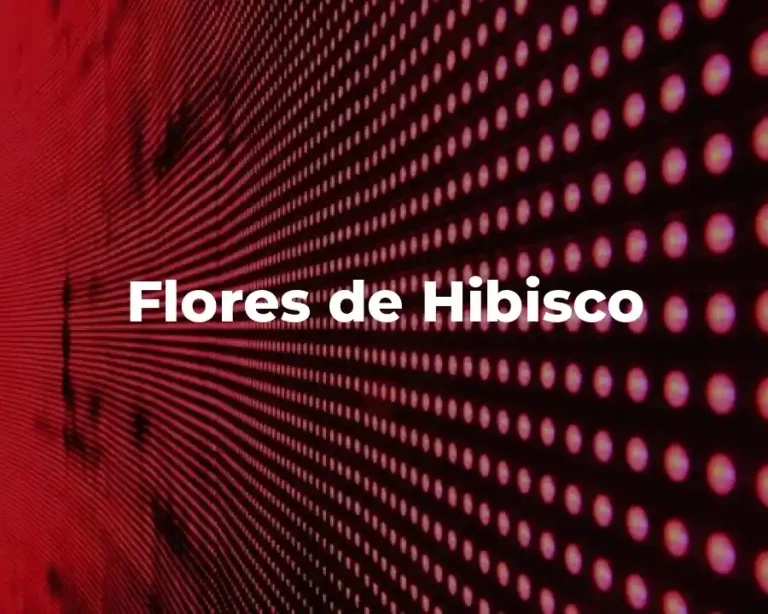 Flores de Hibisco