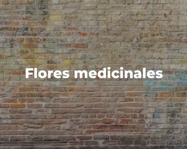 Flores medicinales