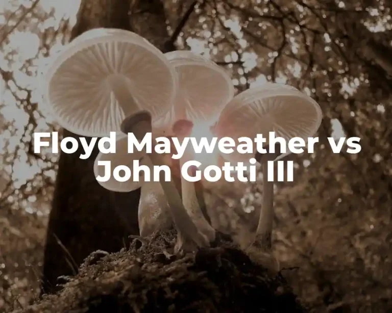 Floyd Mayweather vs John Gotti III