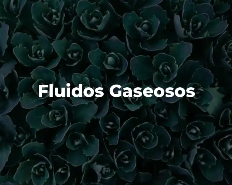 Fluidos Gaseosos