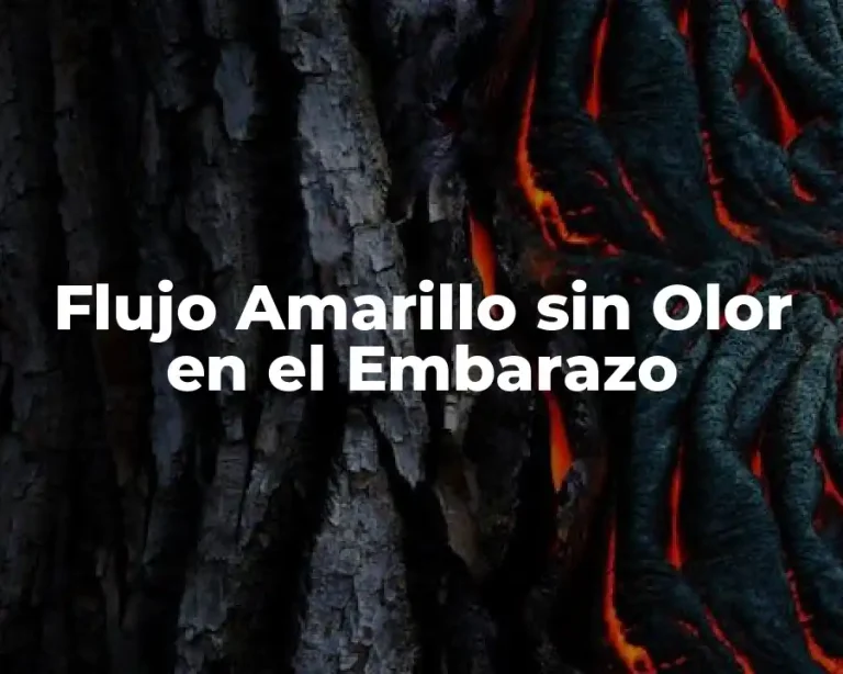 Flujo Amarillo sin Olor en el Embarazo