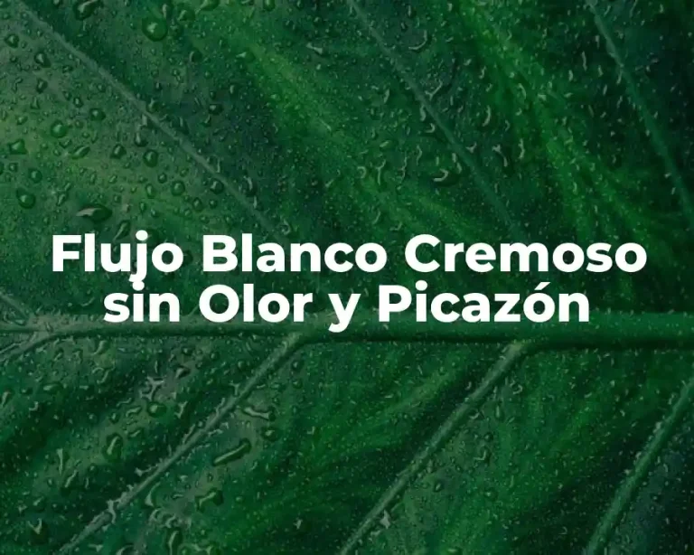 Flujo Blanco Cremoso sin Olor y Picazón