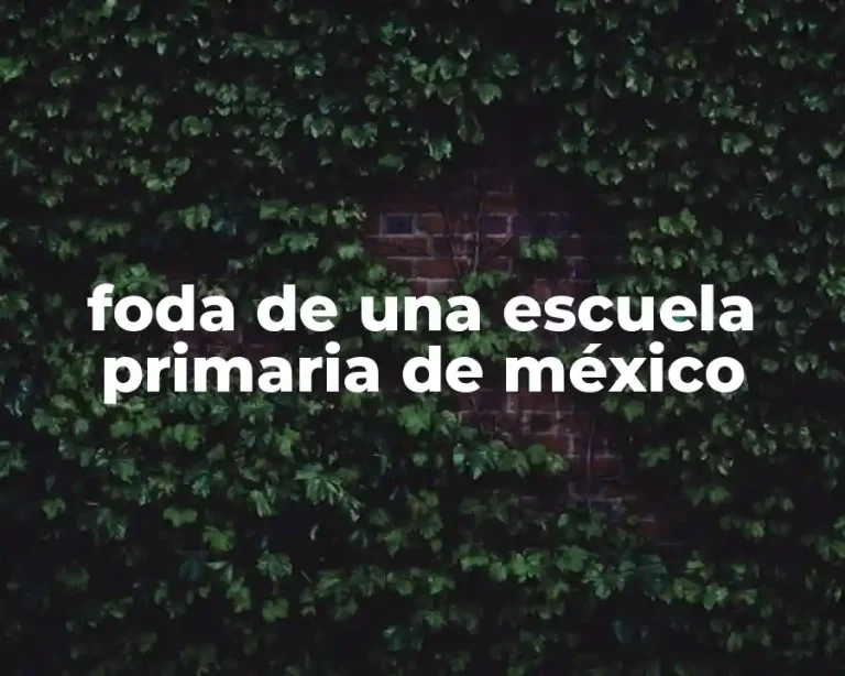 foda de una escuela primaria de méxico