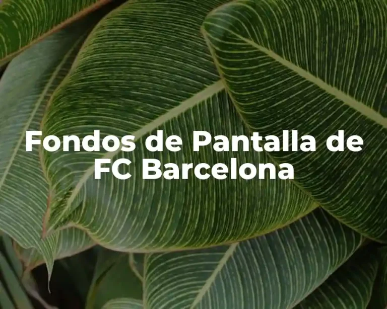 Fondos de Pantalla de FC Barcelona