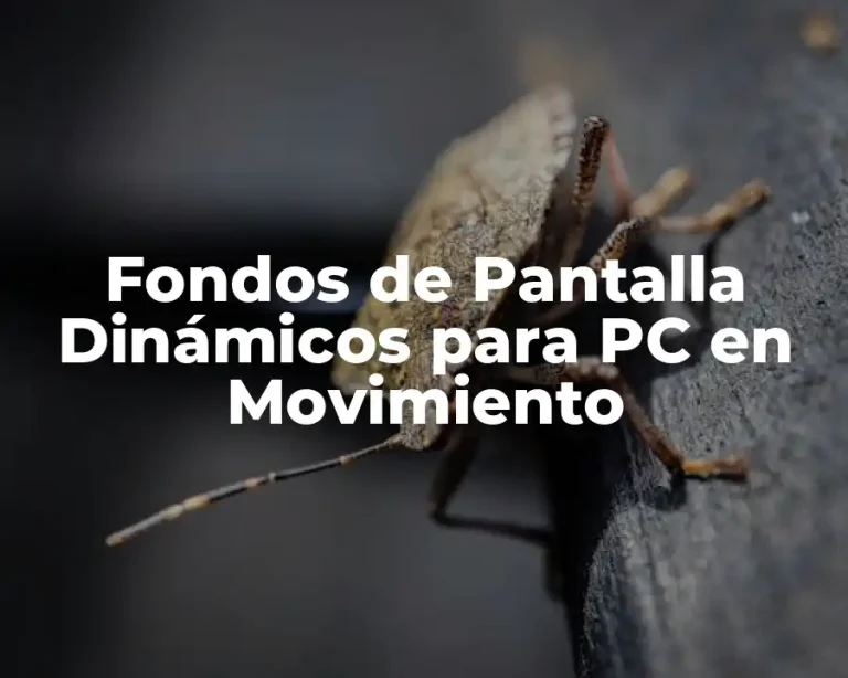 Fondos de Pantalla Dinámicos para PC en Movimiento