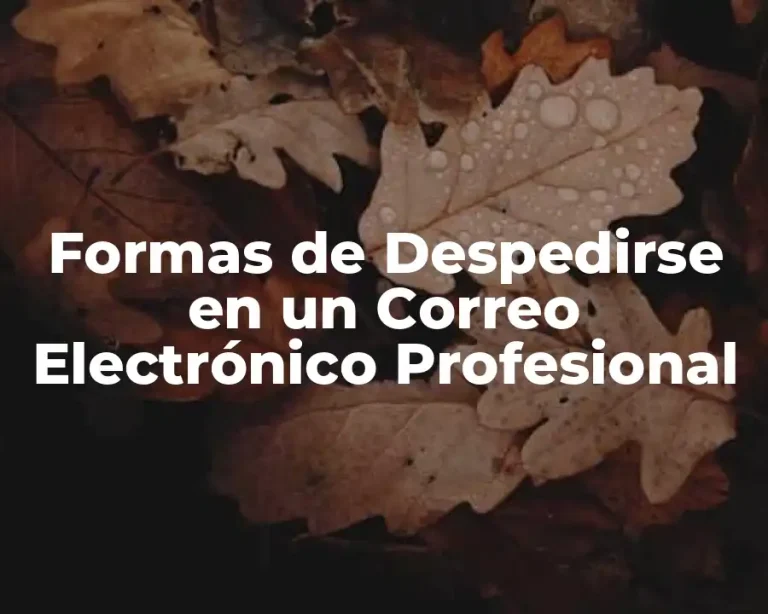 Formas de Despedirse en un Correo Electrónico Profesional