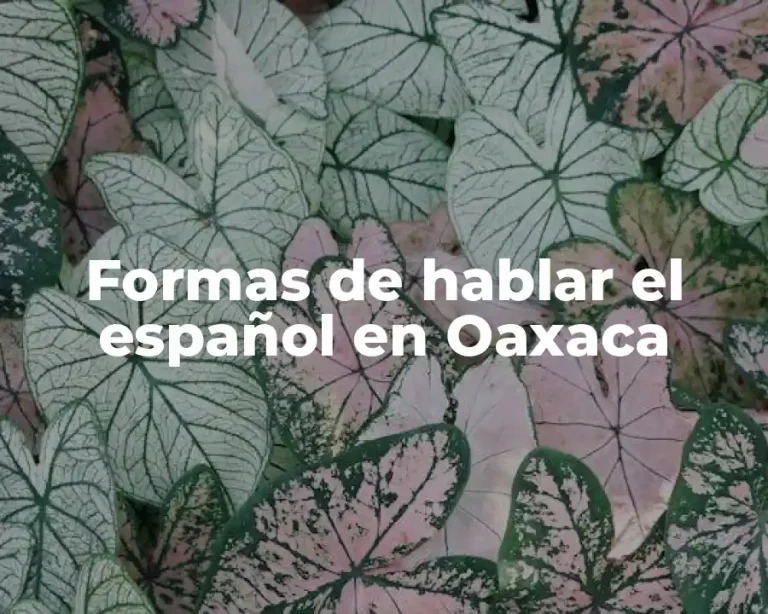 Formas de hablar el español en Oaxaca