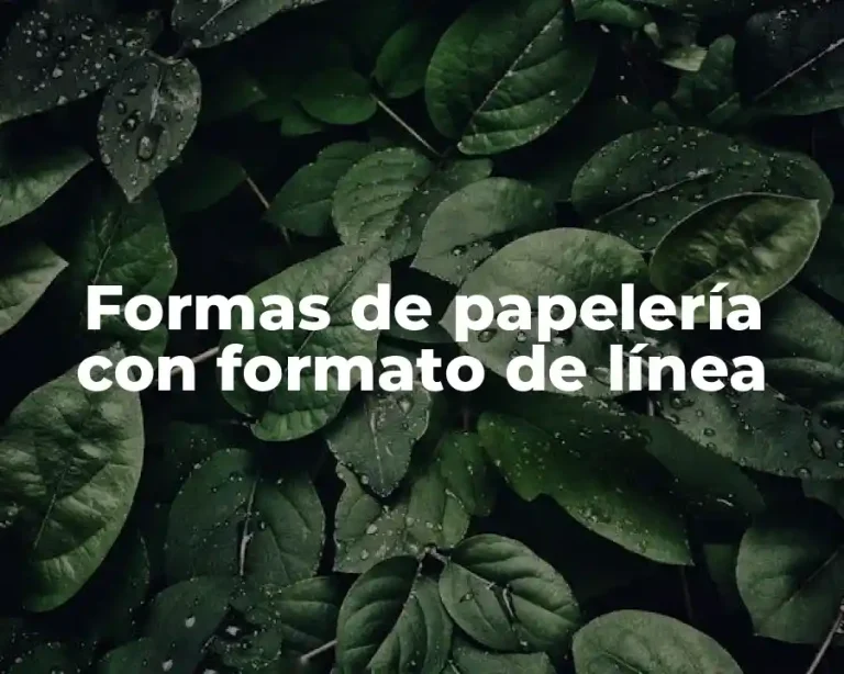 Formas de papelería con formato de línea