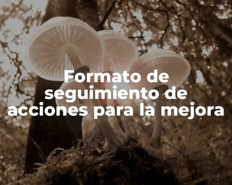 Formato de seguimiento de acciones para la mejora