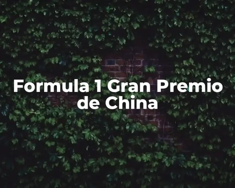 Formula 1 Gran Premio de China